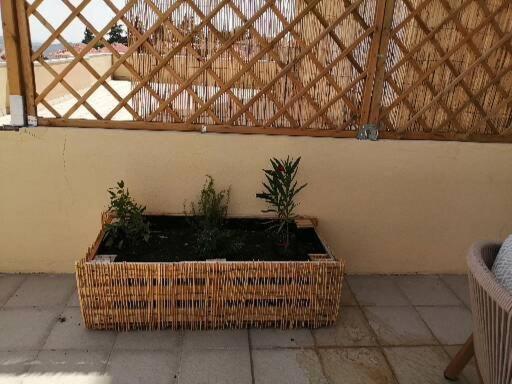 Zelu Apartamento Centro Da גוארדה מראה חיצוני תמונה